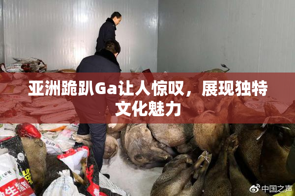 亚洲跪趴Ga让人惊叹，展现独特文化魅力
