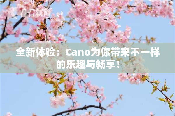 全新体验：Cano为你带来不一样的乐趣与畅享！