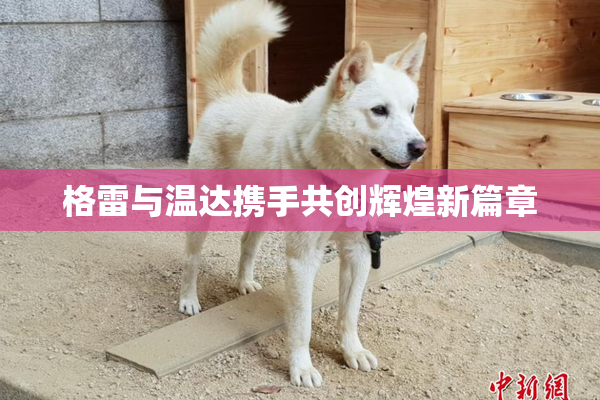 格雷与温达携手共创辉煌新篇章