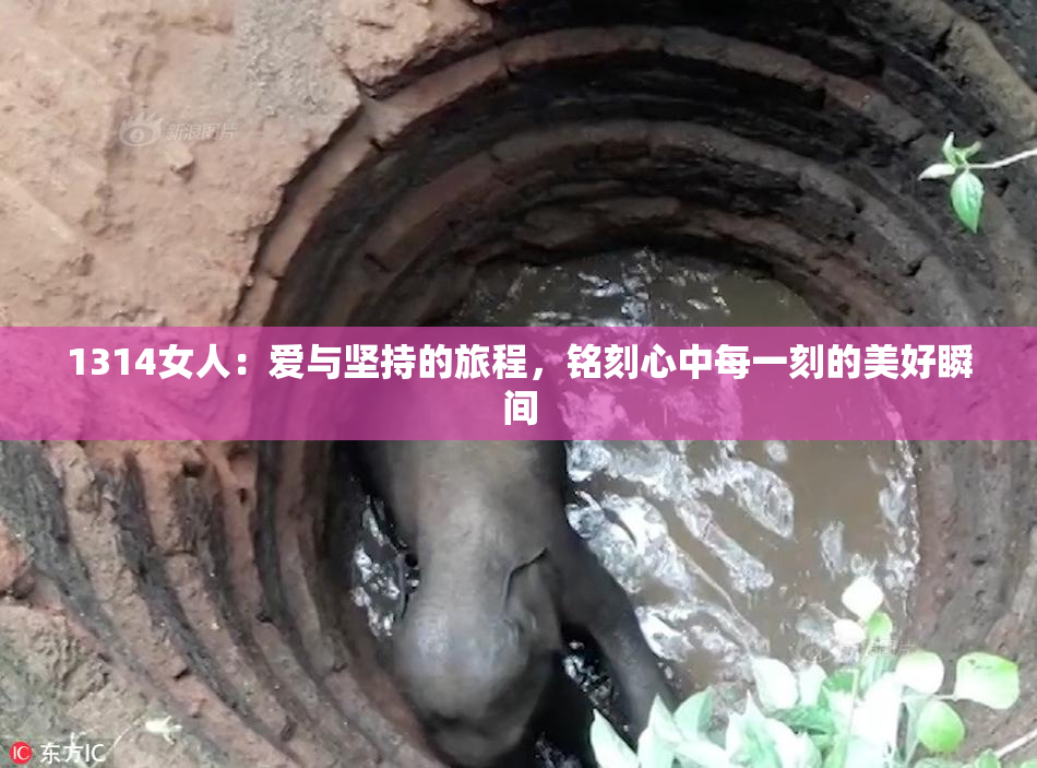 1314女人：爱与坚持的旅程，铭刻心中每一刻的美好瞬间