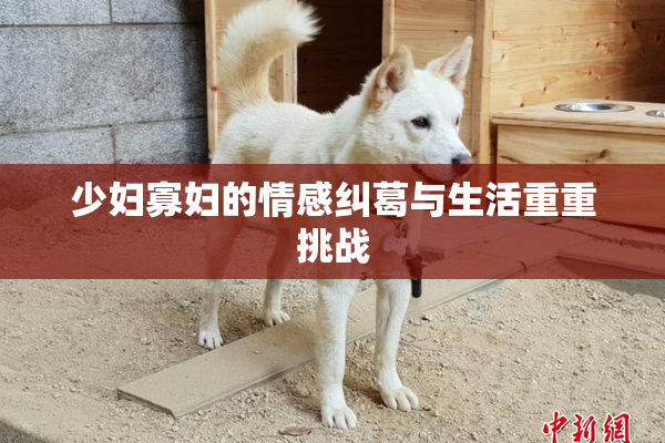 少妇寡妇的情感纠葛与生活重重挑战