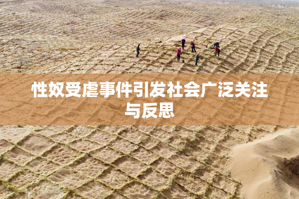 性奴受虐事件引发社会广泛关注与反思