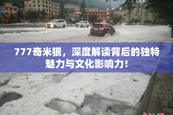 777奇米狠，深度解读背后的独特魅力与文化影响力！