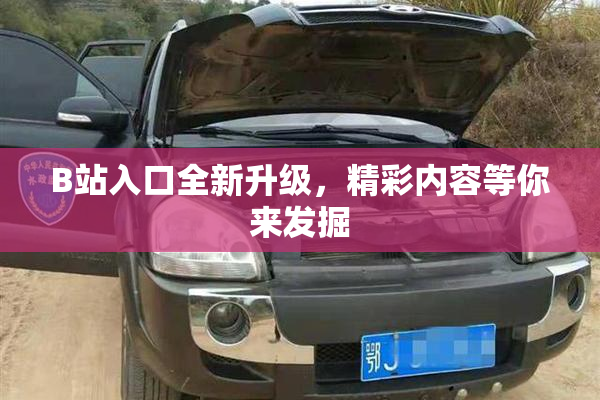 B站入口全新升级，精彩内容等你来发掘