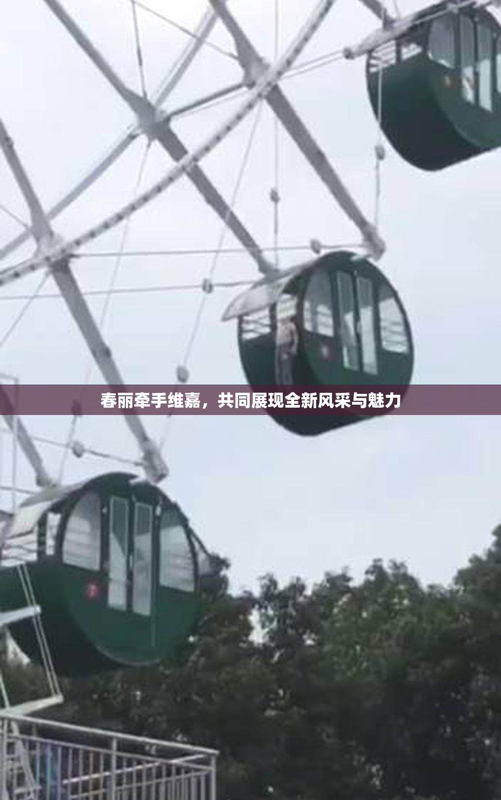 春丽牵手维嘉，共同展现全新风采与魅力