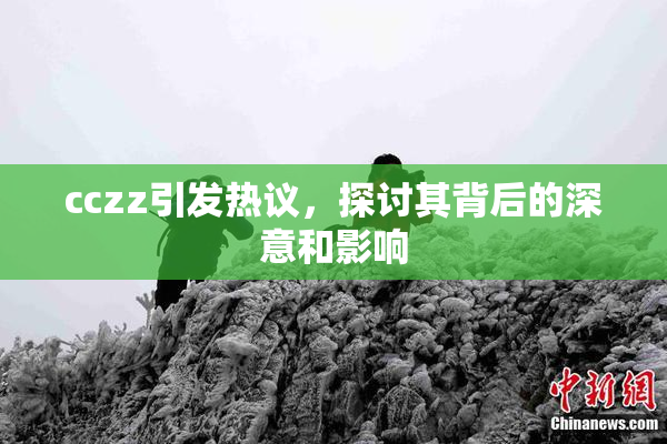 cczz引发热议，探讨其背后的深意和影响