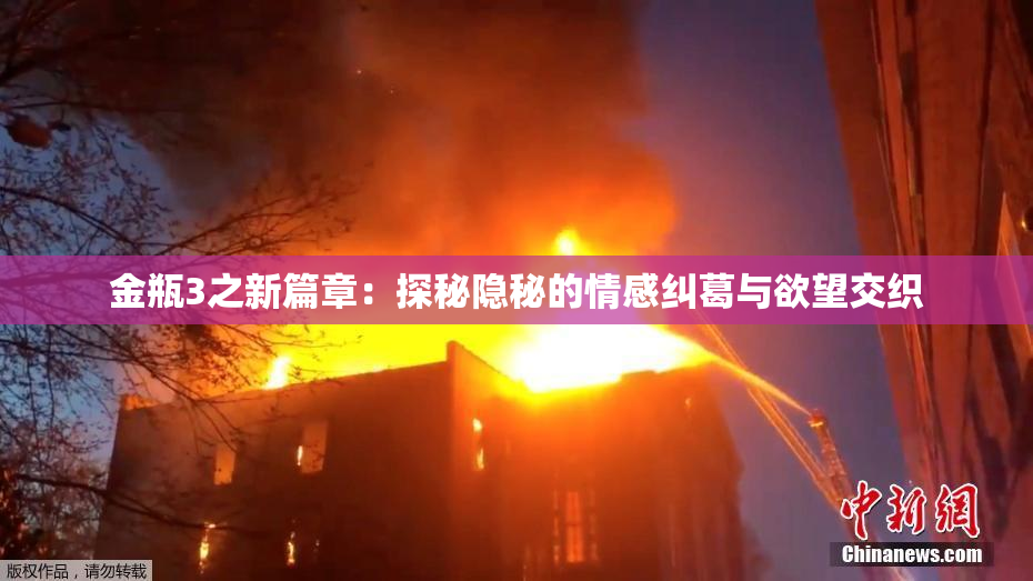 金瓶3之新篇章：探秘隐秘的情感纠葛与欲望交织