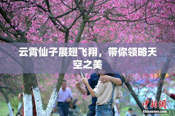 云霄仙子展翅飞翔，带你领略天空之美