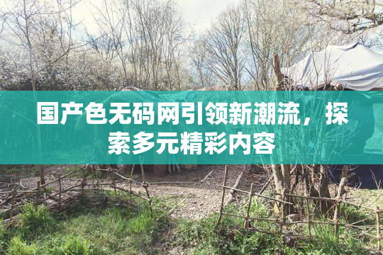 国产色无码网引领新潮流，探索多元精彩内容