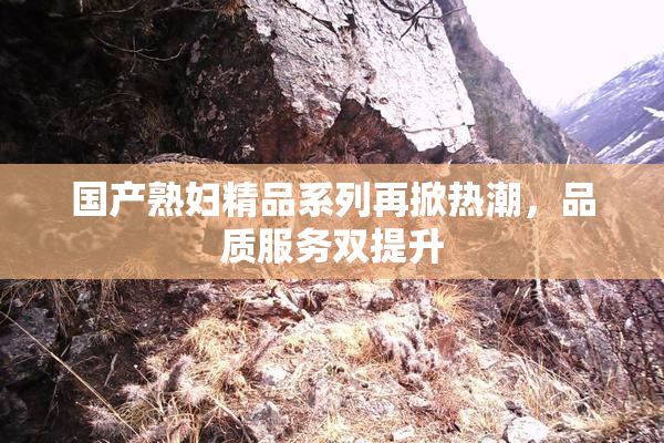 国产熟妇精品系列再掀热潮，品质服务双提升