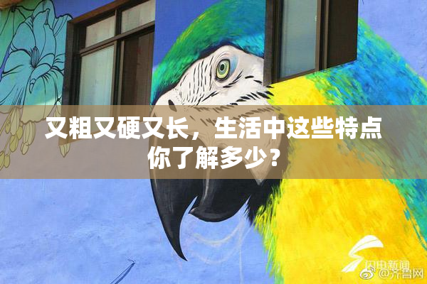 又粗又硬又长，生活中这些特点你了解多少？