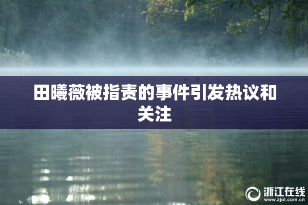 田曦薇被指责的事件引发热议和关注