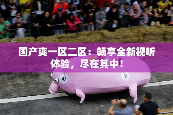 国产爽一区二区：畅享全新视听体验，尽在其中！