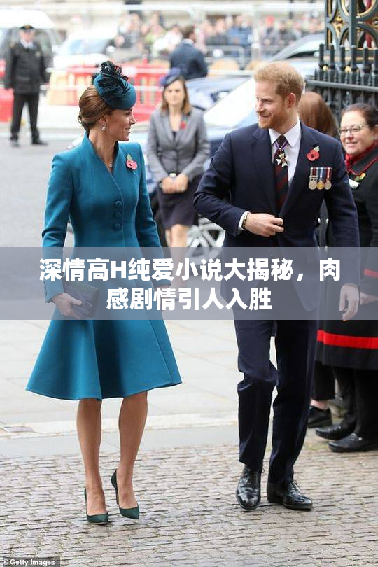 深情高H纯爱小说大揭秘，肉感剧情引人入胜