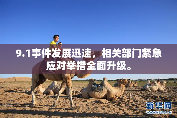 9.1事件发展迅速，相关部门紧急应对举措全面升级。