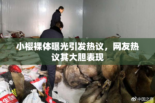 小樱裸体曝光引发热议，网友热议其大胆表现