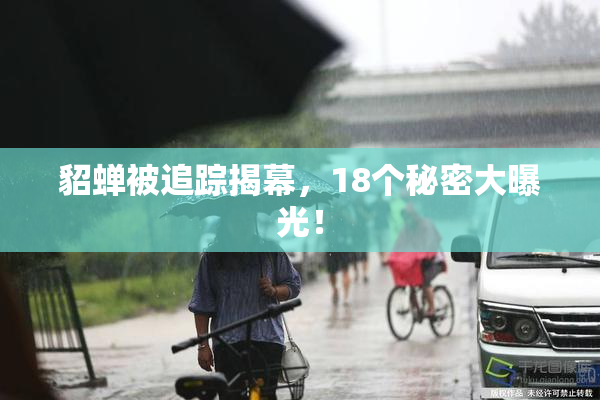 貂蝉被追踪揭幕，18个秘密大曝光！