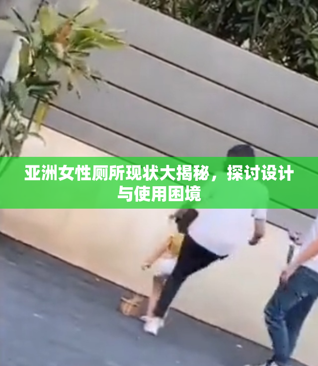 亚洲女性厕所现状大揭秘，探讨设计与使用困境