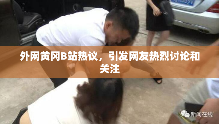 外网黄冈B站热议，引发网友热烈讨论和关注