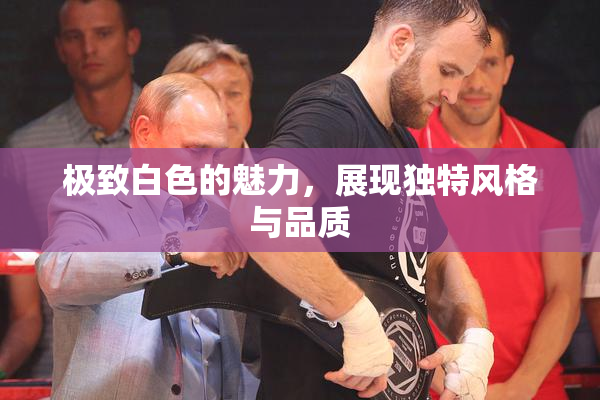 极致白色的魅力，展现独特风格与品质
