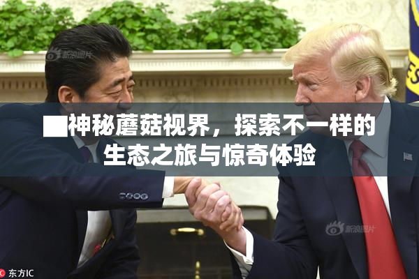 ▇神秘蘑菇视界，探索不一样的生态之旅与惊奇体验
