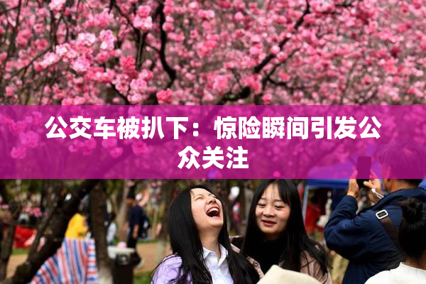 公交车被扒下：惊险瞬间引发公众关注