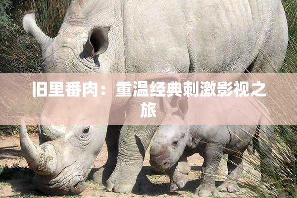 旧里番肉：重温经典刺激影视之旅