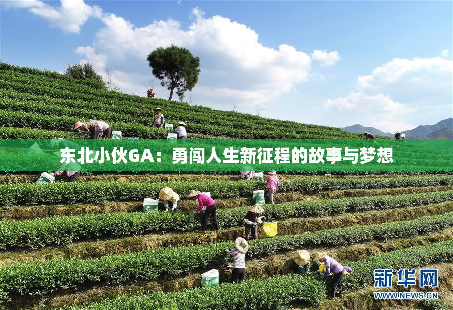 东北小伙GA：勇闯人生新征程的故事与梦想