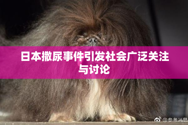 日本撒尿事件引发社会广泛关注与讨论