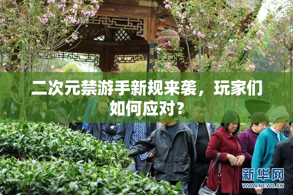 二次元禁游手新规来袭，玩家们如何应对？