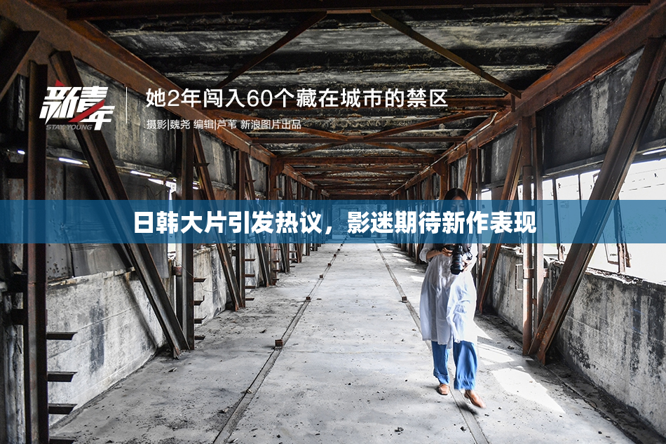 日韩大片引发热议，影迷期待新作表现
