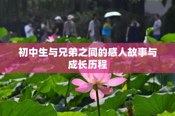 初中生与兄弟之间的感人故事与成长历程