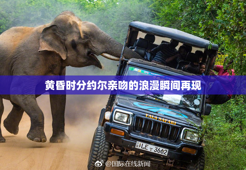 黄昏时分约尔亲吻的浪漫瞬间再现