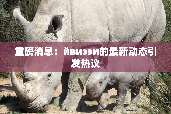 重磅消息：йвиэзи的最新动态引发热议