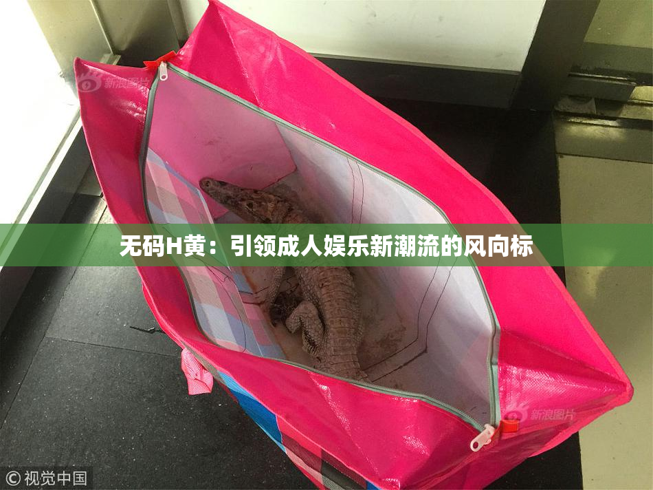 无码H黄：引领成人娱乐新潮流的风向标