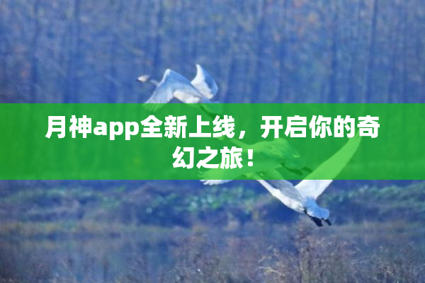 月神app全新上线，开启你的奇幻之旅！