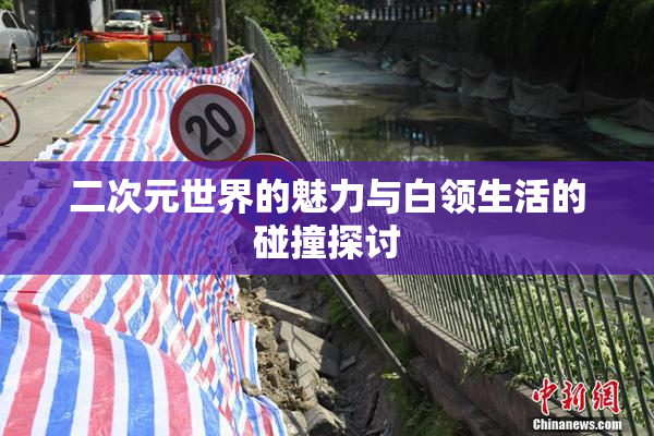 二次元世界的魅力与白领生活的碰撞探讨