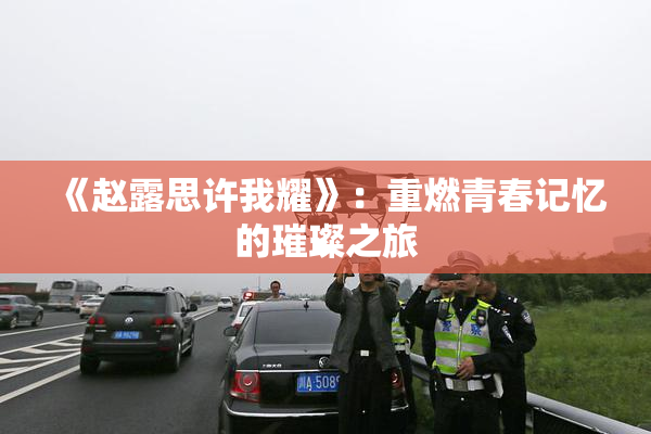 《赵露思许我耀》：重燃青春记忆的璀璨之旅