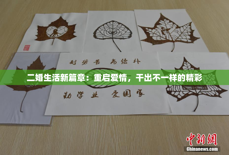 二婚生活新篇章：重启爱情，干出不一样的精彩