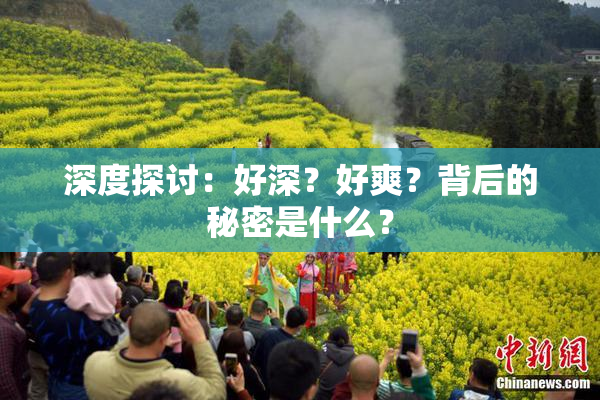 深度探讨：好深？好爽？背后的秘密是什么？