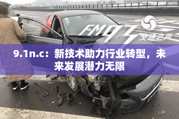 9.1n.c：新技术助力行业转型，未来发展潜力无限