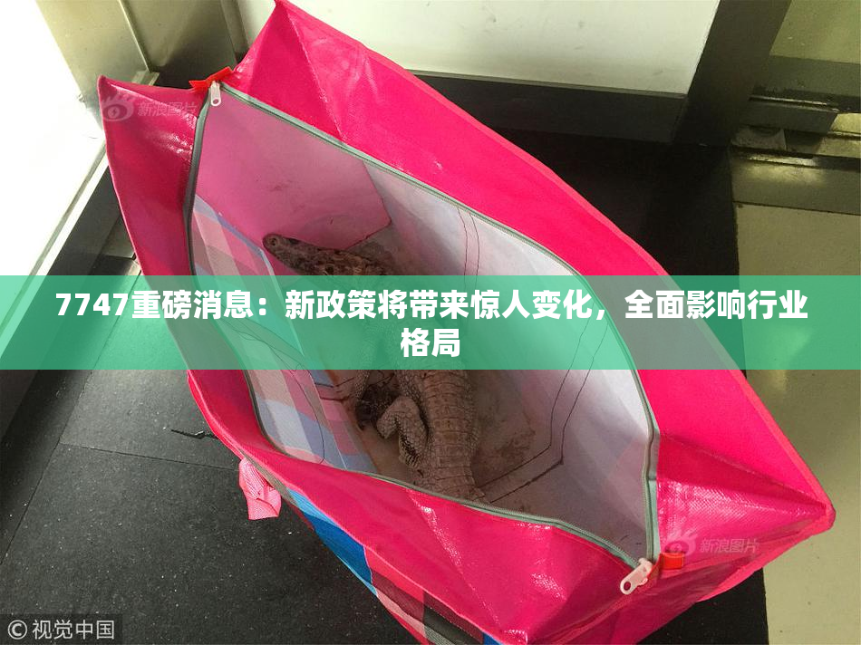 7747重磅消息：新政策将带来惊人变化，全面影响行业格局
