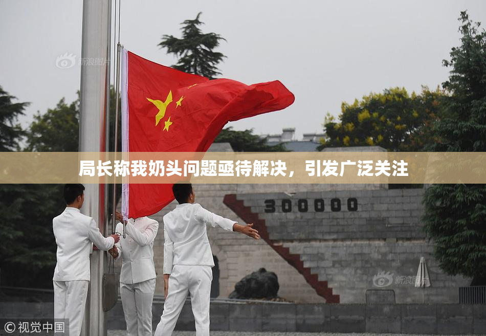 局长称我奶头问题亟待解决，引发广泛关注