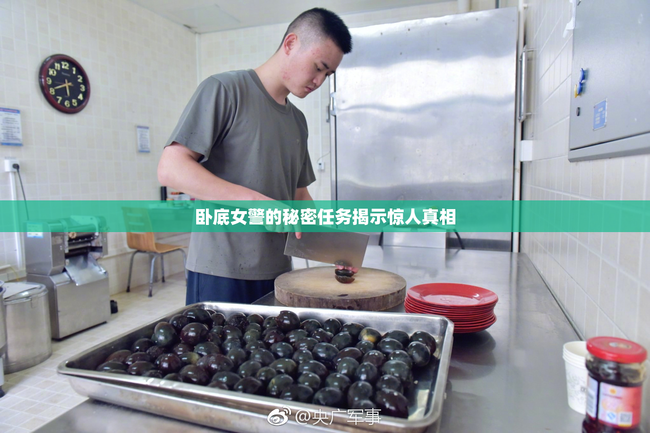 卧底女警的秘密任务揭示惊人真相