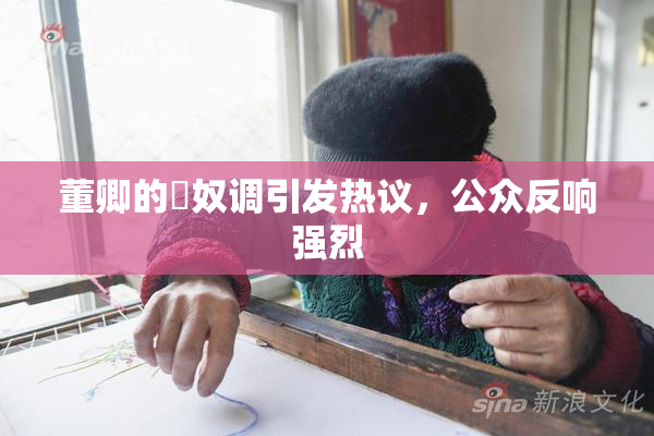 董卿的婬奴调引发热议，公众反响强烈