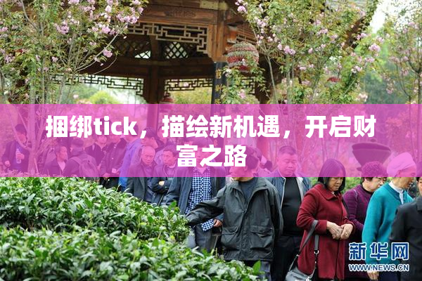 捆绑tick，描绘新机遇，开启财富之路