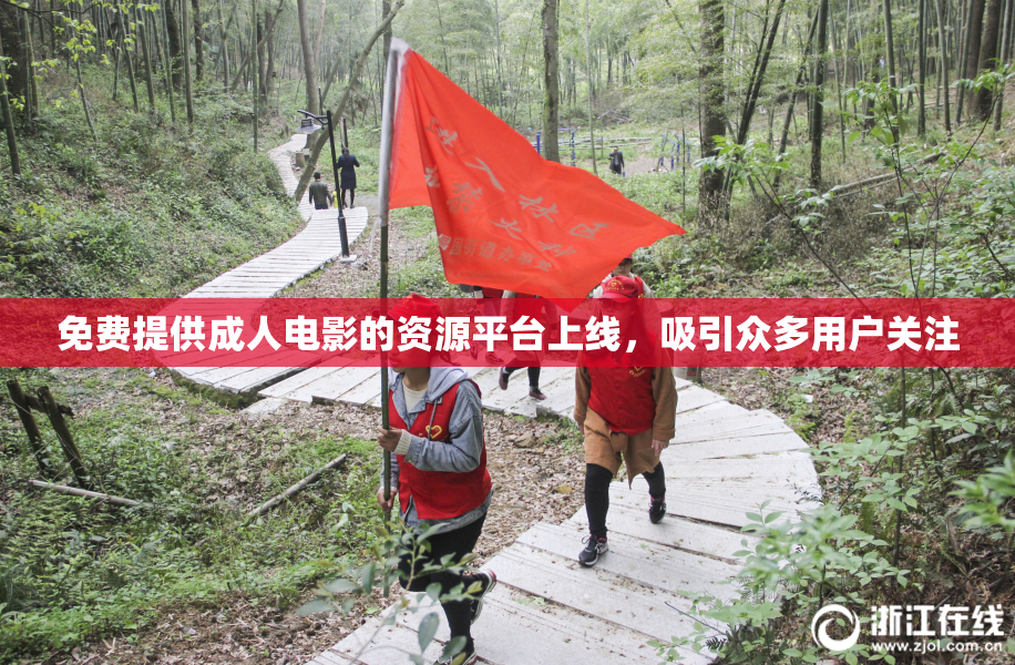 免费提供成人电影的资源平台上线，吸引众多用户关注