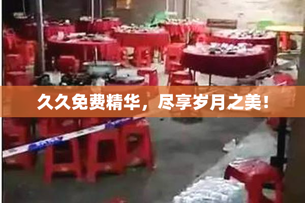 久久免费精华，尽享岁月之美！
