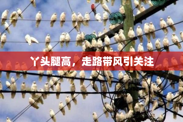 丫头腿高，走路带风引关注