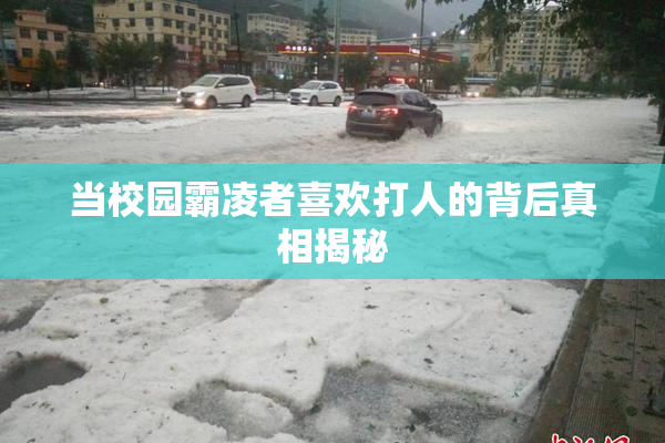 当校园霸凌者喜欢打人的背后真相揭秘